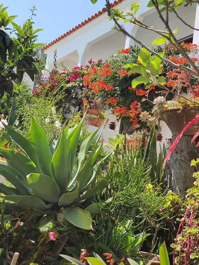 Villa Marrachinho Albufeira