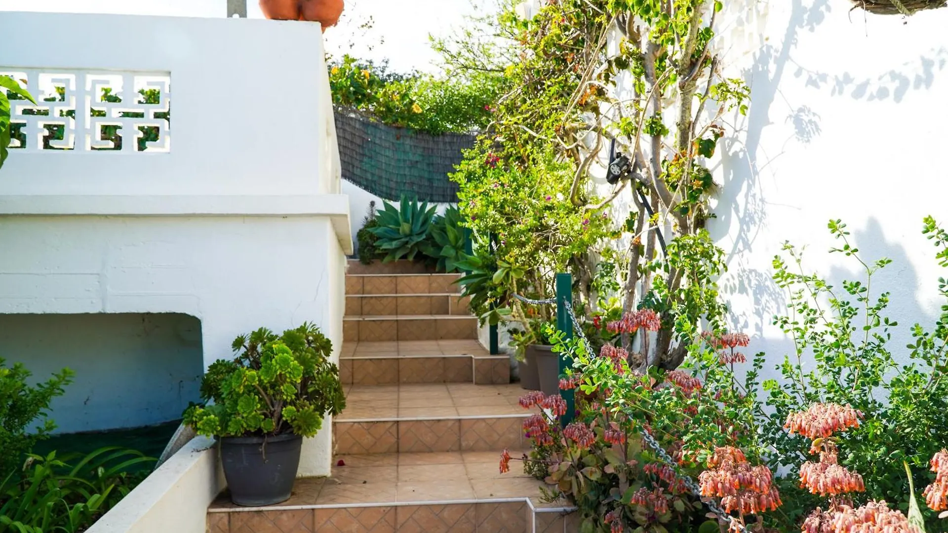 Villa Marrachinho Albufeira